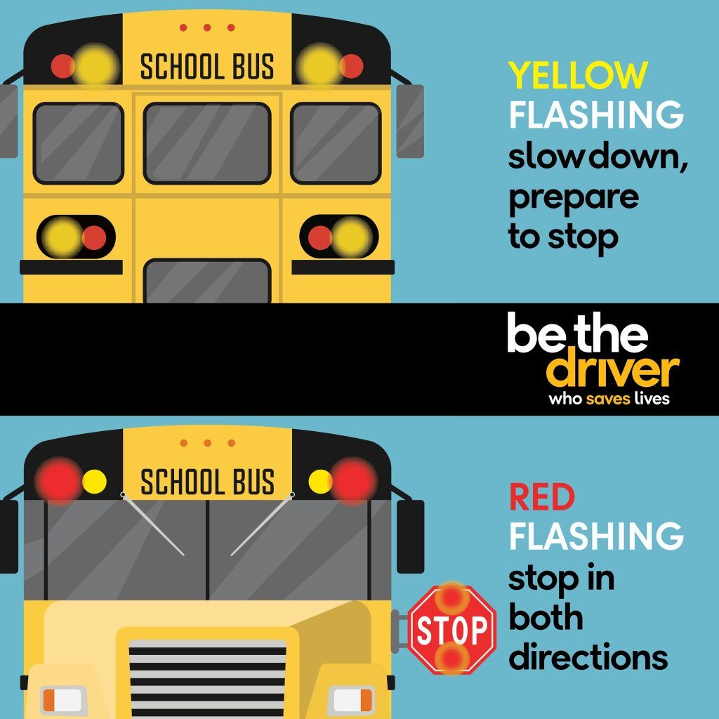 School bus lights